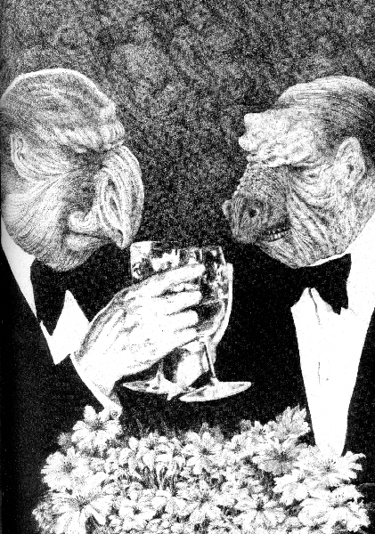 87_Comic_FernandoKrahn1