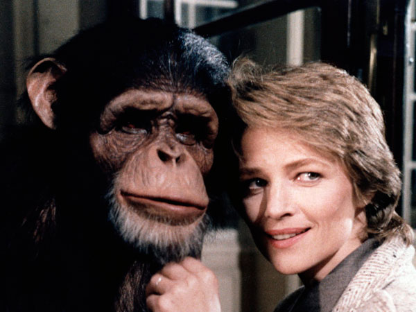 88_Cine_animalesperturbadores1