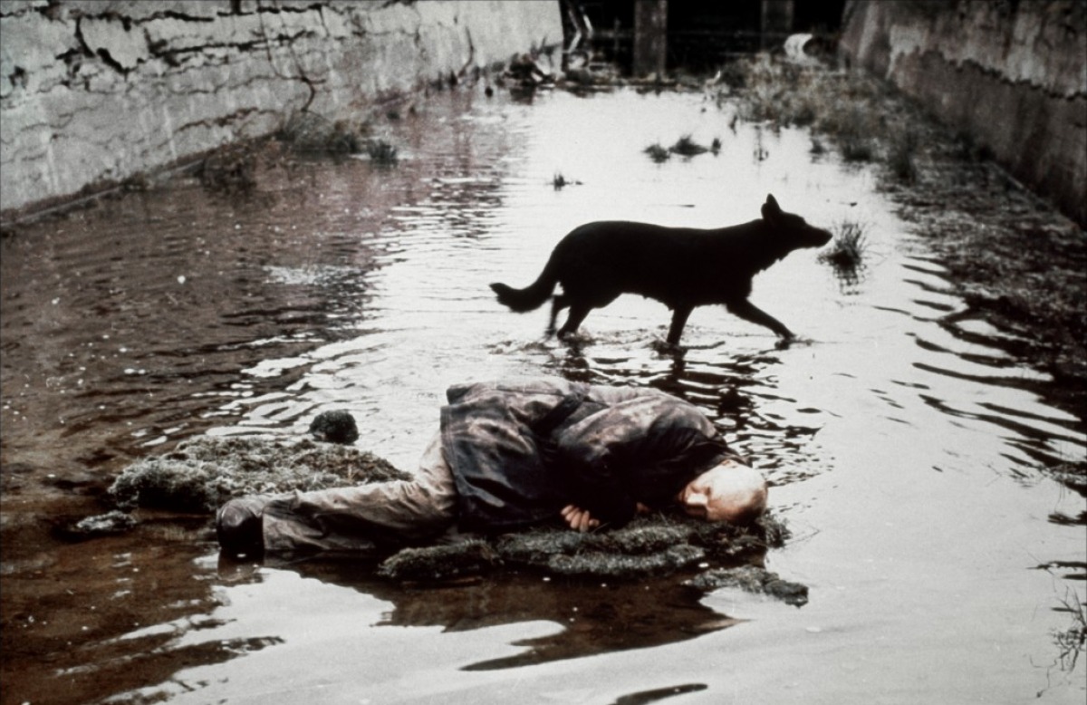 «Stalker» (Andrei Tarkowski, 1979).