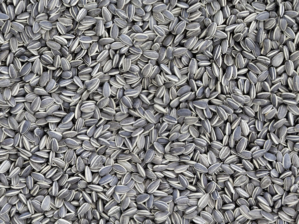92_artesvisuales_aiweiwei_4